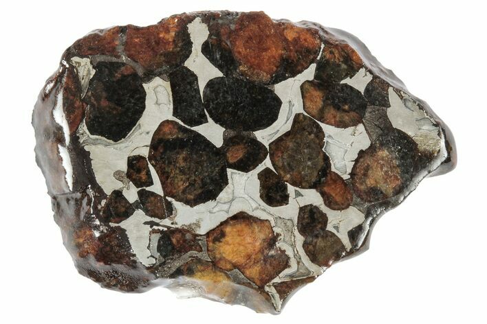 Sericho Pallasite Meteorite ( g) Slice - Kenya #346452